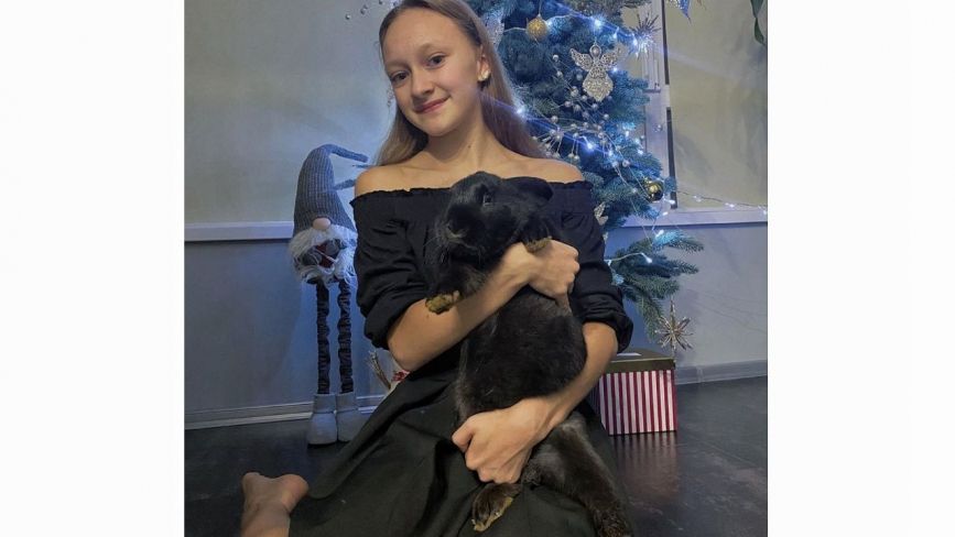 Житомир в Instagram: новорічні фото з ялинками та тваринками