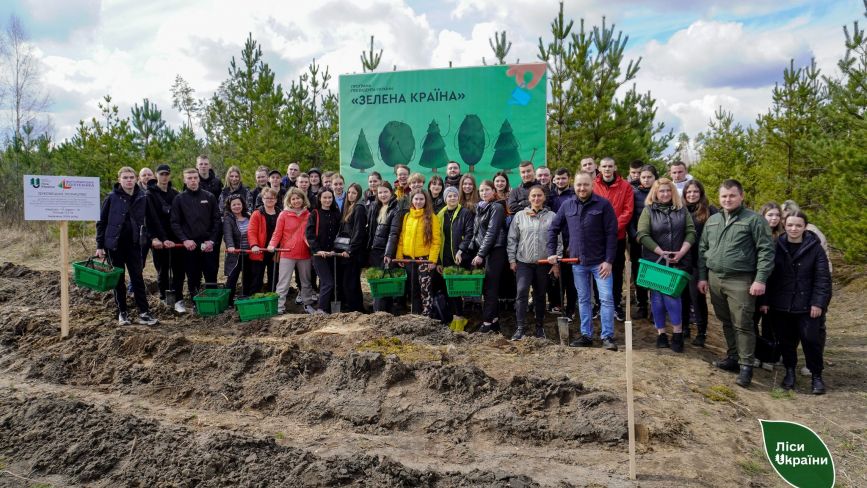 Студенти Житомирської політехніки висадили понад 2400 сіянців дуба та сосни на території Коростишівського лісового господарства