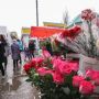 У Житомирі відбудуться громадські слухання щодо торгівлі квітами