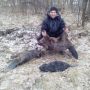 Житомирський студент-браконьєр заявив, що вбиті бобри - не його трофеї