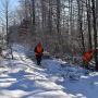 На Житомирщині лісівники прибирають ліси вздовж доріг