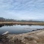 Екологи зафіксували забруднення земельних ресурсів на території Житомира: завдано збитків довкіллю на суму 1,1 млн гривень