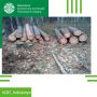 За незаконну порубку дерев радомишльське підприємство має сплатити понад 400 тис. грн