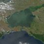 Азовському морю загрожує повне вимирання