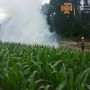 Через суху спекотну погоду на Житомирщині сталося дві пожежі на відкритих територіях