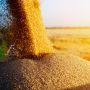В Україні намолочено перший мільйон тонн зерна
