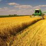 На Житомирщині розпочався збір врожаю ранніх зернових і зернобобових культур