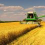 На Житомирщині середньоденний намолот становить понад 50 тисяч тонн зерна