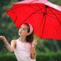 Не ховайте парасольки: на початку тижня в Житомирі дощитиме