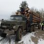 В Олевську та Любарі зупинили вантажівки з незаконною деревиною