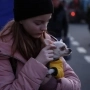 Спрощені правила ввезення домашніх тварин з України до Польщі буде скасовано