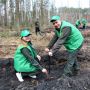 Весняна лісокультурна кампанія стартувала у Столичному лісовому офісі