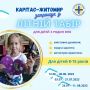 Карітас-Житомир запрошує до літного табору дітей з родин ВПО