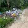 Екоінспекція вимагає ліквідувати несанкціоноване сміттєзвалище на території Соколовського кар’єру в Житомирі