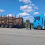 Поблизу Кочерова виявили вантажівки, які під виглядом дров перевозили ділову деревину