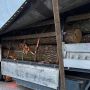 Вчора патрульні зафіксували два випадки незаконного перевезення деревини