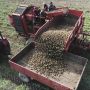 На Житомирщині зібрали понад 2 мільйони тонн картоплі