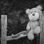 З початку року на Житомирщині ювенальні поліцейські розшукали понад пів тисячі зниклих безвісти дітей