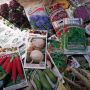 Домогосподарства Житомирщини, які постраждали від війни, зможуть безплатно отримати насіння овочів для весняної посівної