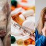 В Україні шириться "свинячий" грип – яка зараз ситуація у регіонах (Новини компаній)
