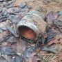 На Малинщині піротехніки ДСНС знищили залишки від сучасного бойового снаряду, знайденого селянами