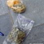 Посилка з наркотиками: у Малині поліцейські затримали чоловіка після отримання кримінального відправлення