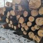 З початку року лісівники Житомирщині та Київщині передали українським військовим 1105 кубометрів деревини на загальну суму 1,7 мільйони гривень
