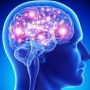 На Житомирщині почали проводити дослідження мозку із застосуванням штучного інтелекту