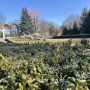 Цими вихідними житомиряни і гості міста можуть безкоштовно прогулятися Ботанічним садом