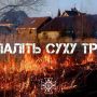 Станом на 29 березня на Житомирщині вже виникло 177 пожеж у природних екосистемах