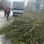 Після шквального вітру на Житомирщині дорожники прибирали повалені дерева та вирівнювали дорожні знаки