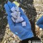 У лісовому масиві на Малинщині затримали двох наркозакладчиків