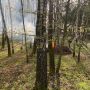 На півтори тисячі оштрафовано чоловіка, який спалював деревину в районі Соколовського кар’єру