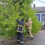 Упродовж доби рятувальники Житомирщини двічі прибирали аварійні дерева