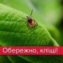 В Україні почастішали випадки укусів кліщів: як вберегтися