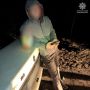 Вночі у Житомирі зупинили п'яного водія, в салоні авто знайшлися наркотики