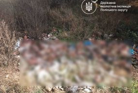 В Оліївській громаді екоінспектори виявили факт незаконного складування відходів тваринного походження