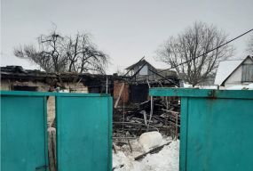 Поліція розслідує обставини загибелі у пожежі матері та двох її дітей у селі Житомирського району