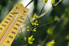 В Україні пануватиме розкішне весняне тепло — до +15° і навіть +18°