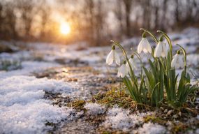 У Житомирі збережеться сонячна і тепла погода