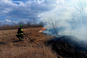 Між Калинівкою і Глибочицею внаслідок сильної пожежі вигоріло 2 гектари сухої трави