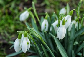 Останні вихідні березня будуть помірно теплими — прогноз погоди