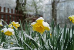 До України йде різке похолодання