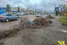 У Житомирі на прибраній території знову з'явилося стихійне звалище