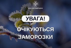 Заморозки на Житомирщині: будьте обережні!