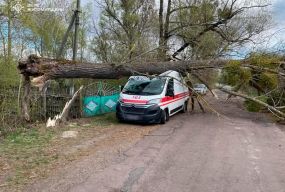 На Коростенщині через пориви вітру величезне дерево впало на автомобіль швидкої допомоги