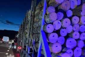 Минулого тижня на автодорогах області патрульні зафіксували 8 фактів порушення вимог перевезення лісопродукції