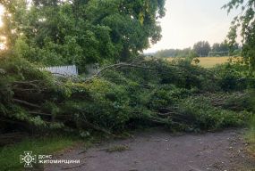 На Коростенщині рятувальники долали наслідки негоди:  вітер пошкодив покрівлі житлових будинків і обірвав лінії електропередач