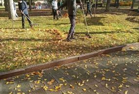 У Житомирській громаді з 12 жовтня розпочинається осіннє загальноміське санітарне прибирання