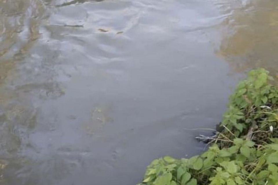 Через аварію стався скид неочищених стічних вод до річки Кам’янка